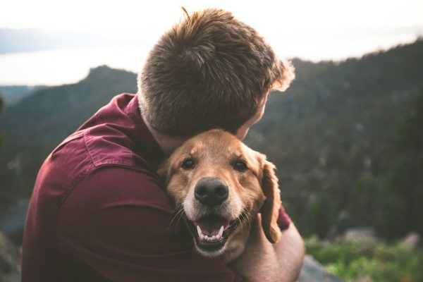 Quanto mais apegada ao pet, mais responsável é a pessoa? Estudos apontam uma ligação surpreendente