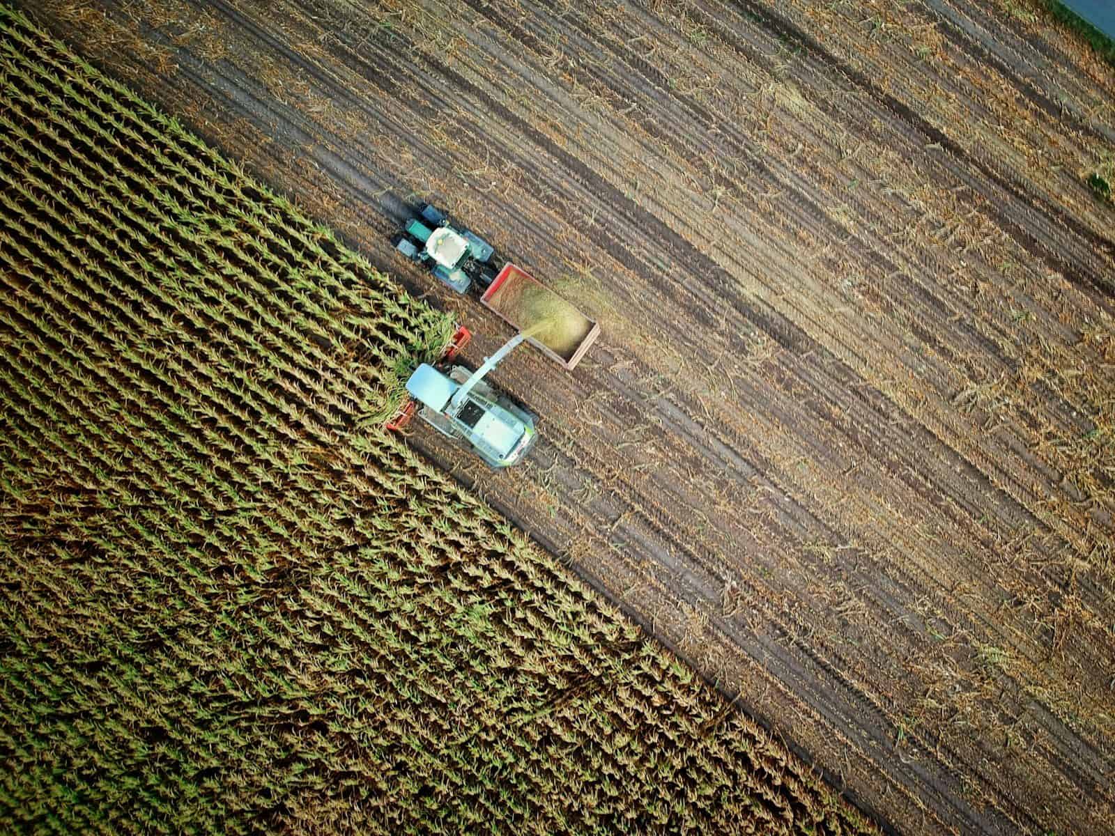 An aerial view of a combine harvester loading corn into a tractor trailer