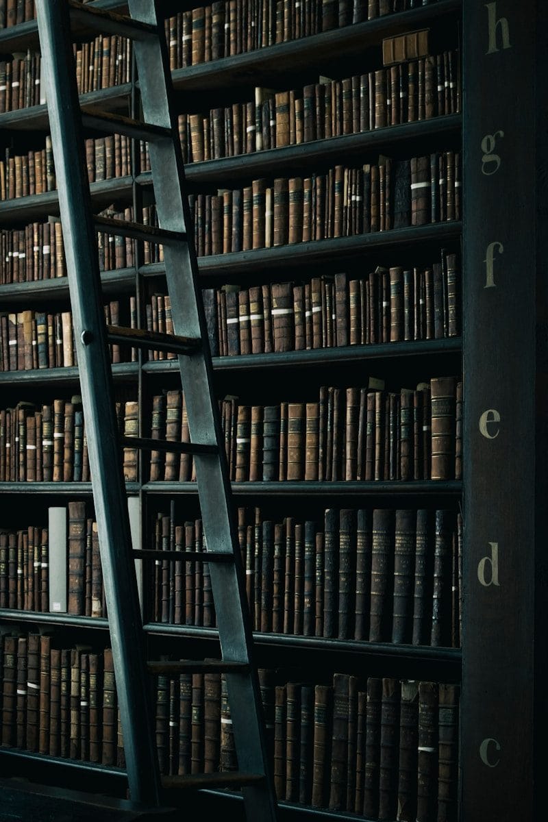 A wooden ladder leaning against tall bookshelves filled with antique books in Dublin