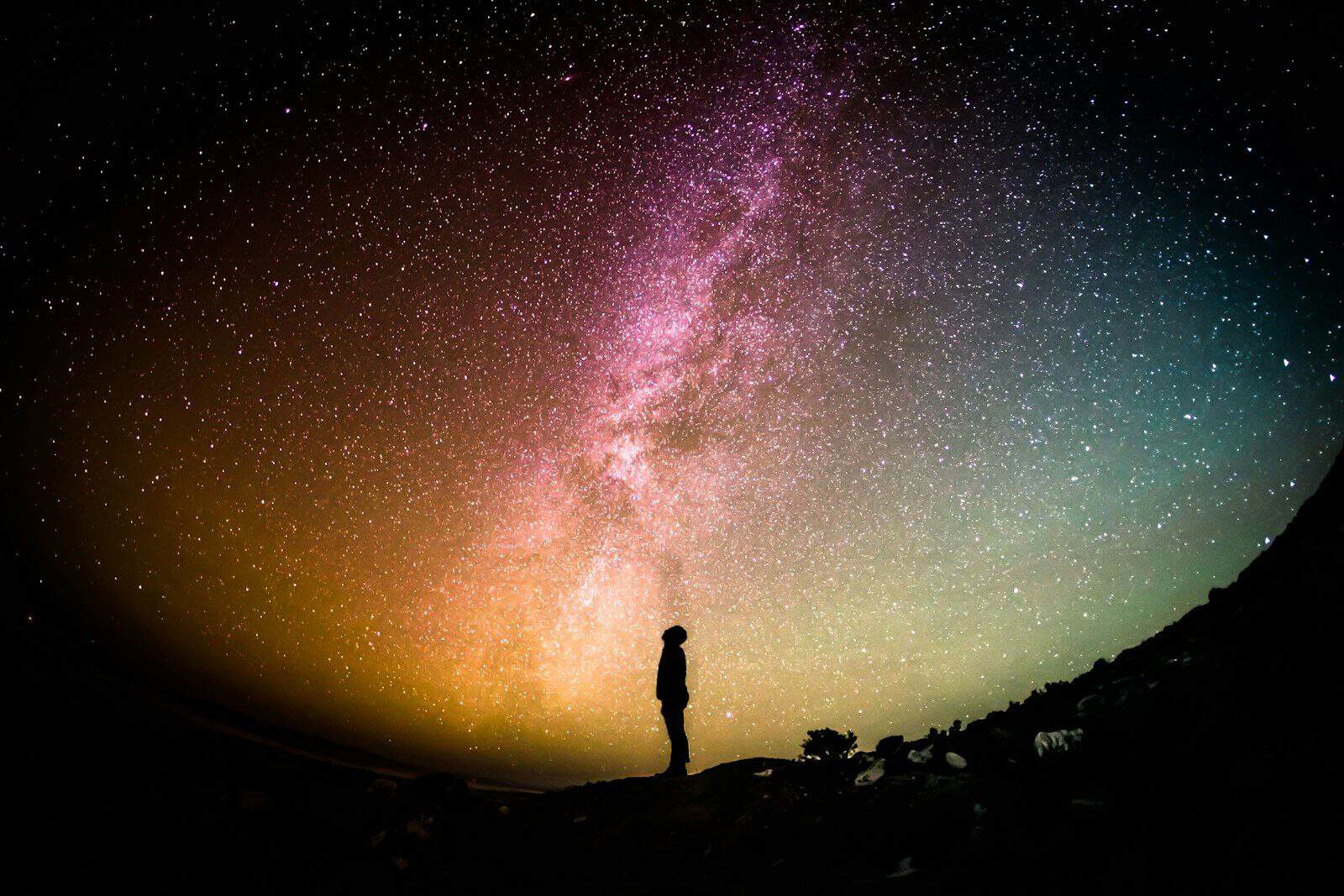 Leão pode encontrar novas oportunidades envolvendo dinheiro durante o fim de semana. (Créditos: Unsplash / Greg Rakozy)