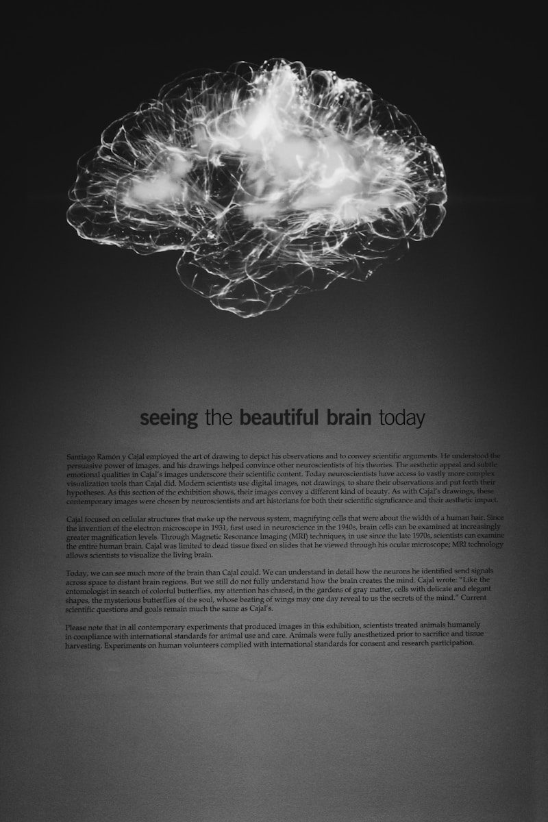 A glowing white neural network visualization of a human brain against a black background