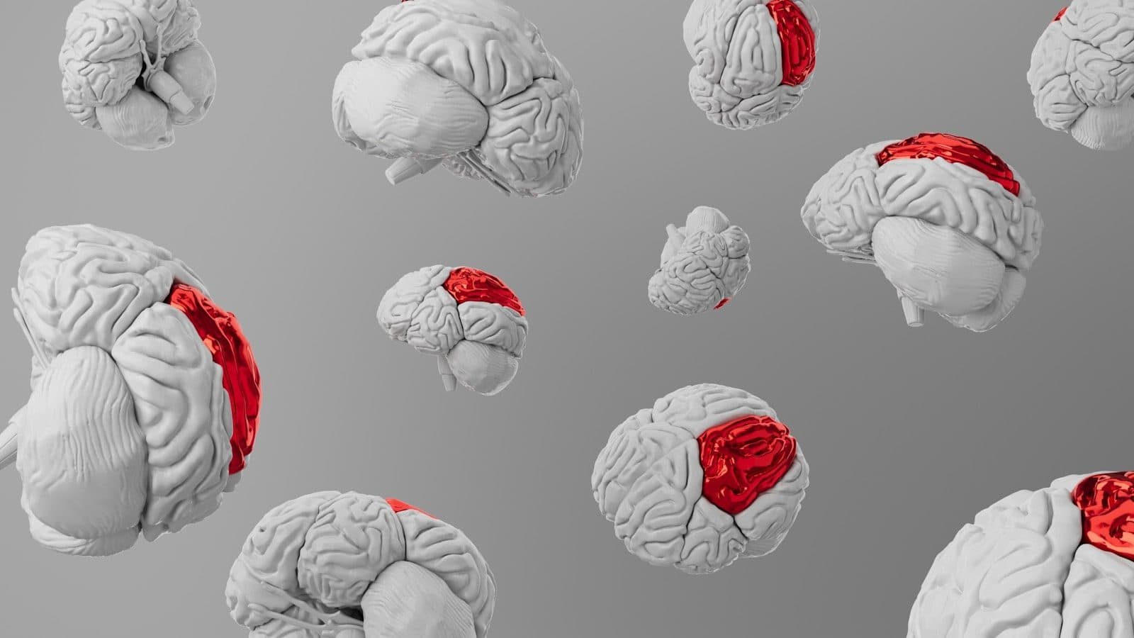 Estudo reforça a relação entre hábitos saudáveis e desempenho cognitivo. (Créditos: Unsplash / Bhautik Patel)