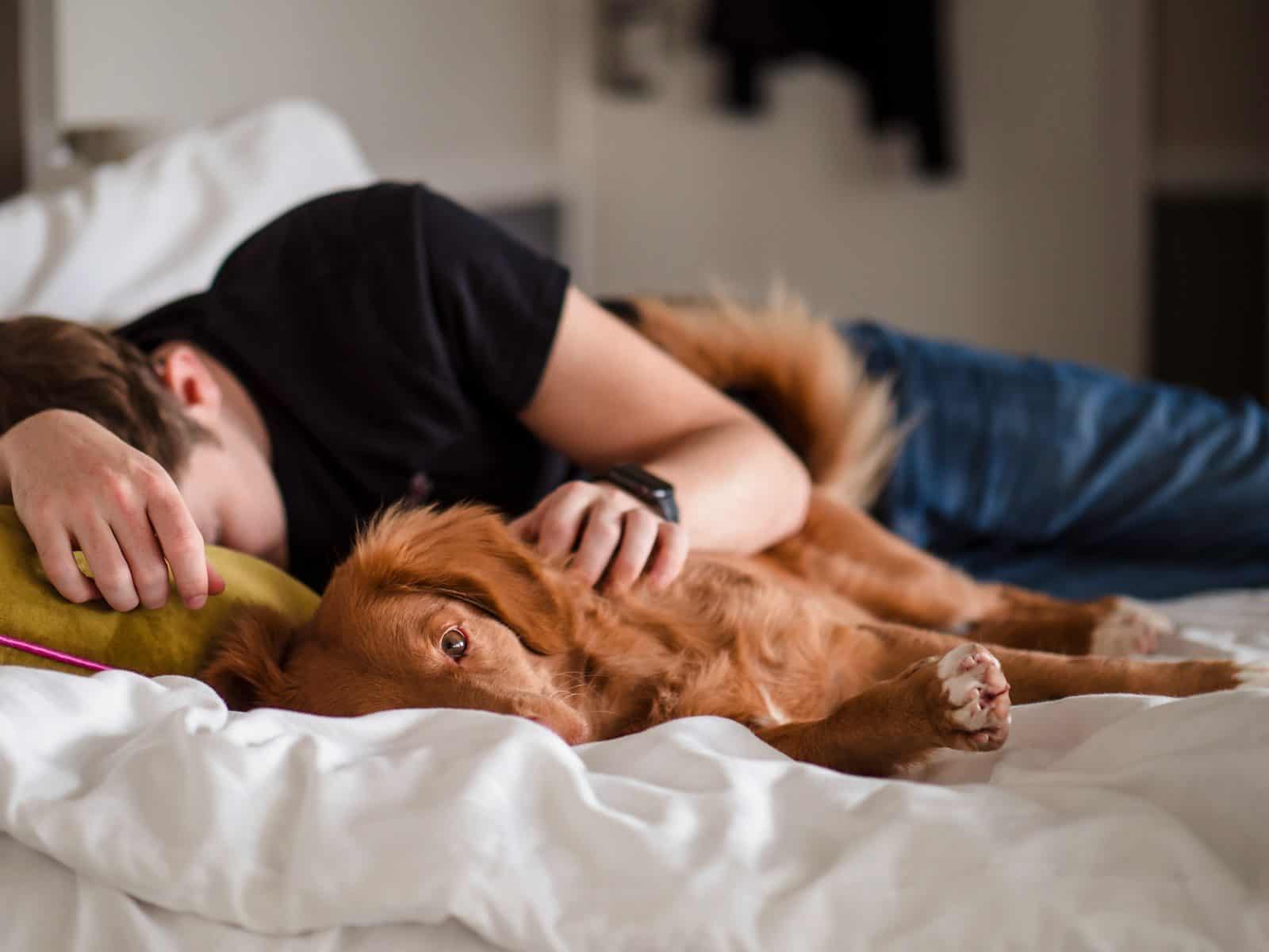 O cochilo é estudado por seus possíveis efeitos sobre foco e memória (Créditos: Unsplash / Jamie Street)
