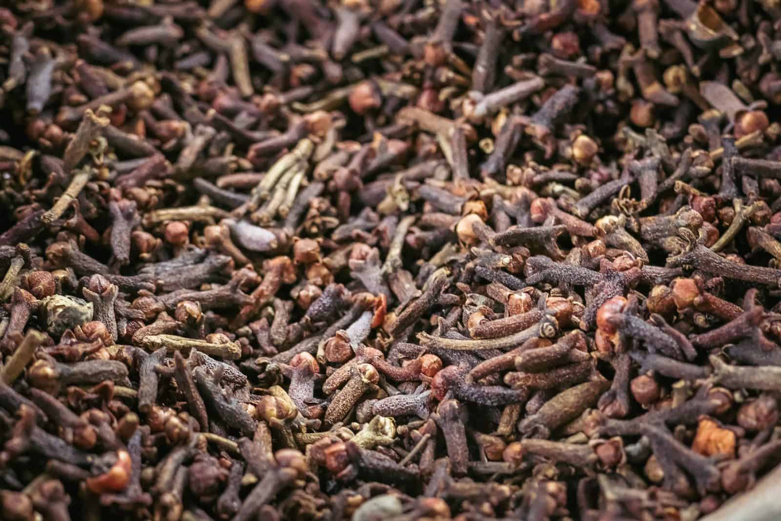 Cravo-da-índia também é relacionado ao funcionamento digestivo (Créditos: Unsplash / Kristijan Arsov)