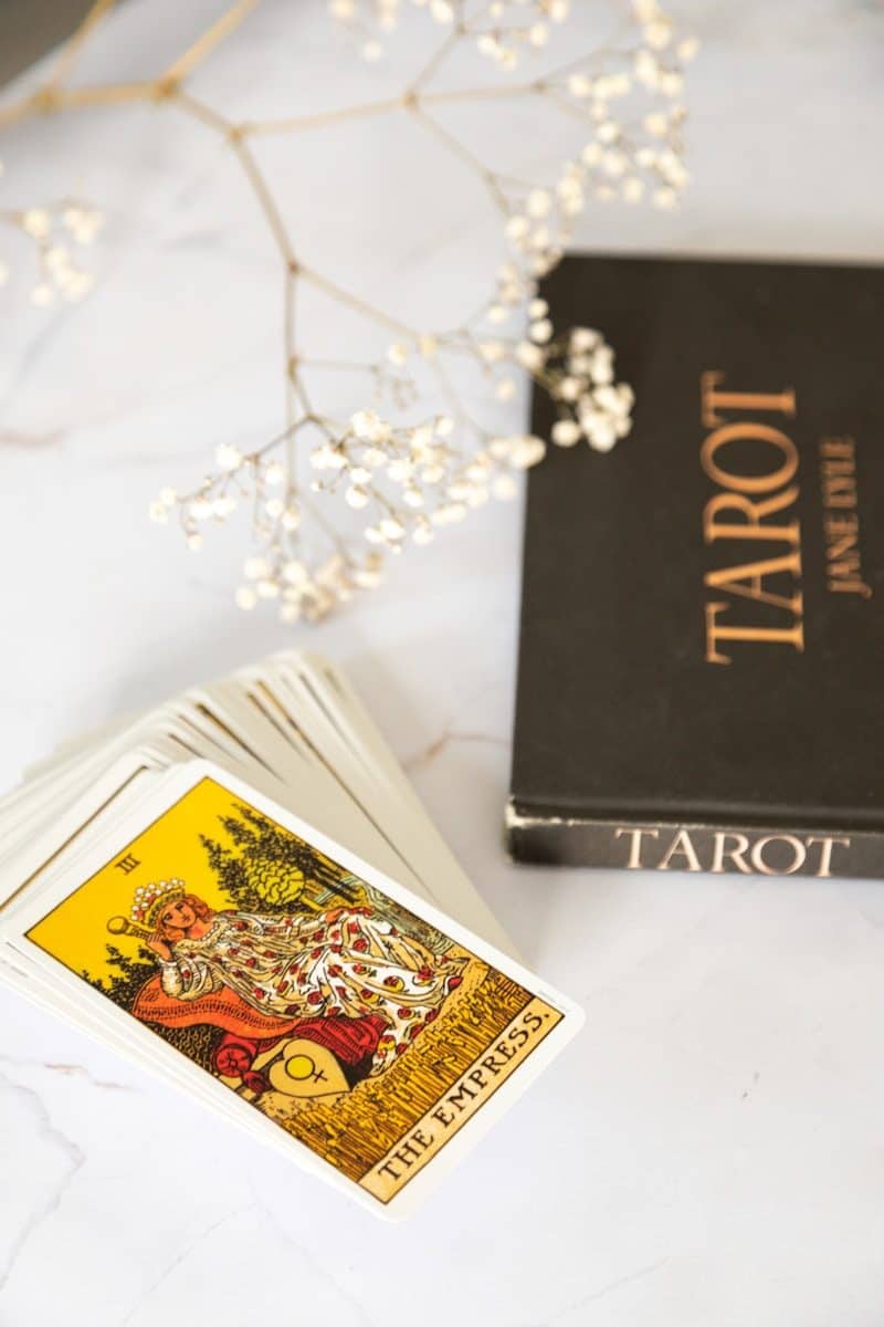 Cartas do Tarot foram associadas aos diferentes signos neste mês (Créditos: Unsplash / Viva Luna Studios)