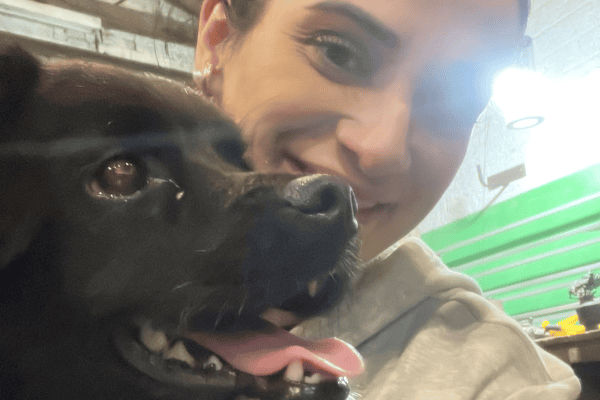 Cachorro desaparecido há mais de um ano é reencontrado pela tutora e cena emociona