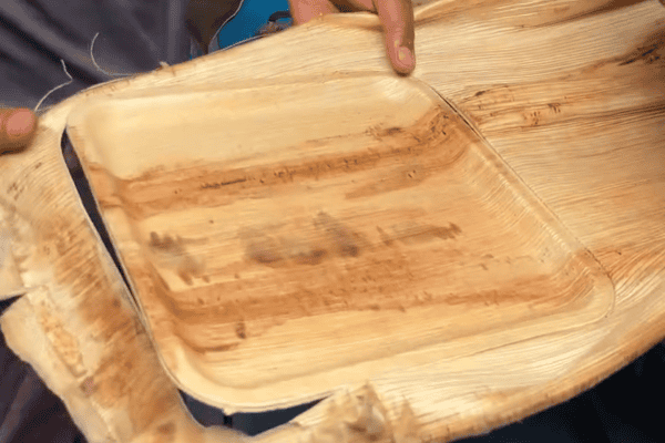 Folhas de palmeira são transformadas por artesãos indianos em pratos e bandejas biodegradáveis