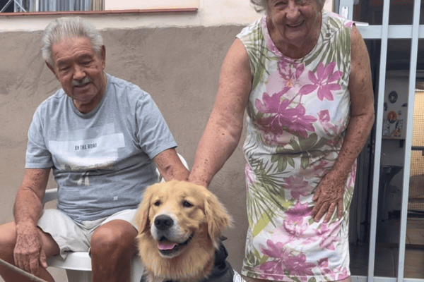 Golden retriever cria amizade com casal de idosos e passa a visitá-los quase todos os dias