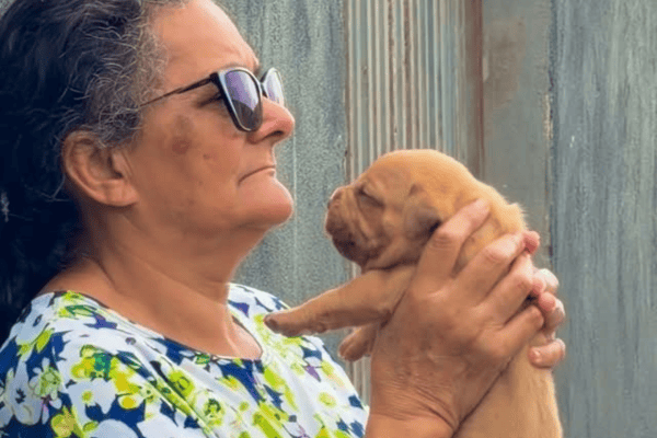 Vovó mostra o antes e depois de seu ‘cachorrinho’ e crescimento impressiona internautas