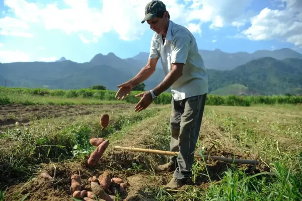 CMN estende alcance da renegociação de dívidas rurais para produtores atingidos por eventos climáticos adversos