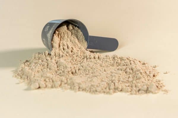 Proteína e creatina podem prejudicar os rins? Entenda o que realmente preocupa os especialistas