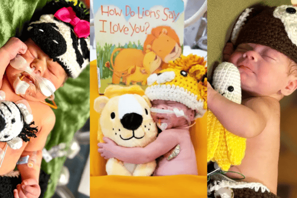 Cena de fofura: bebês de UTI neonatal se transformam em leões, zebras e girafas