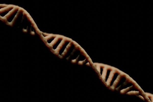 Seu DNA pode explicar parte da sua personalidade, revela estudo com mais de 1 milhão de pessoas