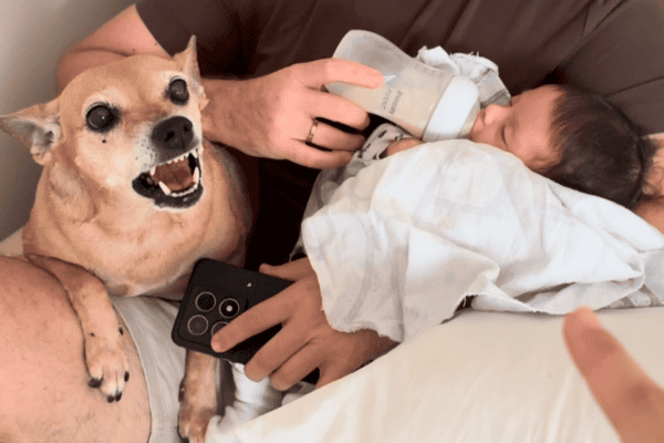 Cachorra fica de olho em bebê durante mamadeira e não deixa nem a mãe se aproximar