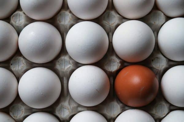 China, EUA e Europa mudam estratégia alimentar e podem afetar exportações do Brasil