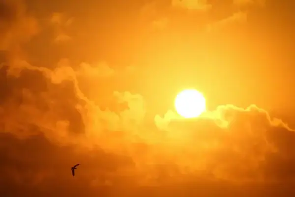 El Niño pode estender calor recorde e persistir até fevereiro de 2027