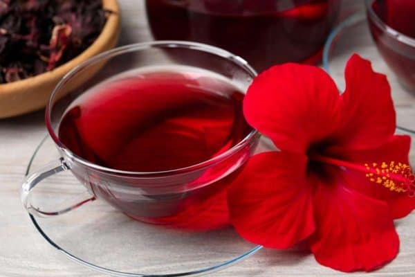 Guia de chás: benefícios da camomila, chá verde, hortelã e hibisco