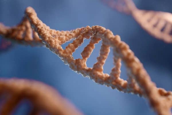 DNA pode influenciar sua personalidade mais do que se imaginava, revela estudo com mais de 1 milhão de pessoas