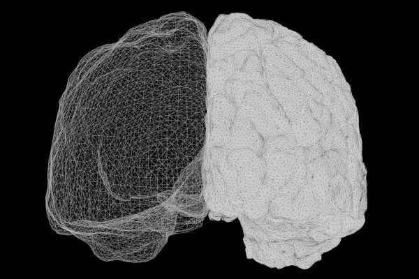 Cientistas fazem descoberta surpreendente sobre o cérebro humano: seriam dois órgãos unidos?